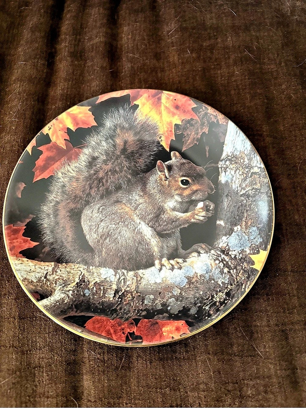 W.S. George Golden Season: Gray Squirrel Collector Plate Brown & Orange#